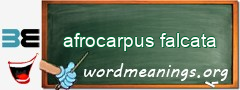WordMeaning blackboard for afrocarpus falcata
